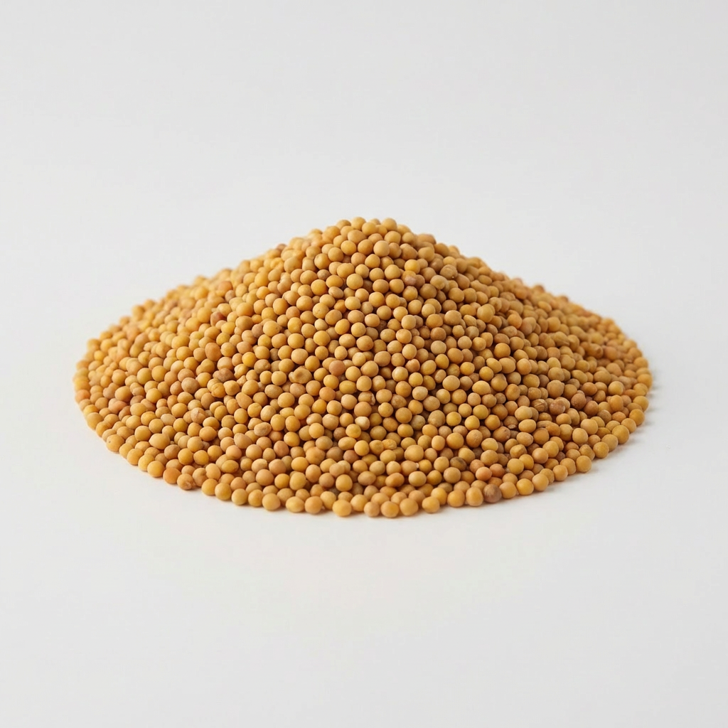 Mostaza en Grano Amarilla — Origen: Canadá — Especias y Condimentos