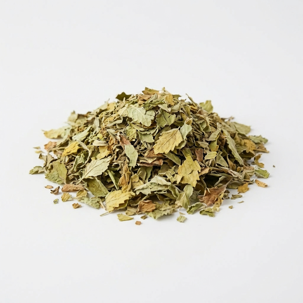 Melissa (Toronjil) — Origen: Brasil — Hierbas y Tés