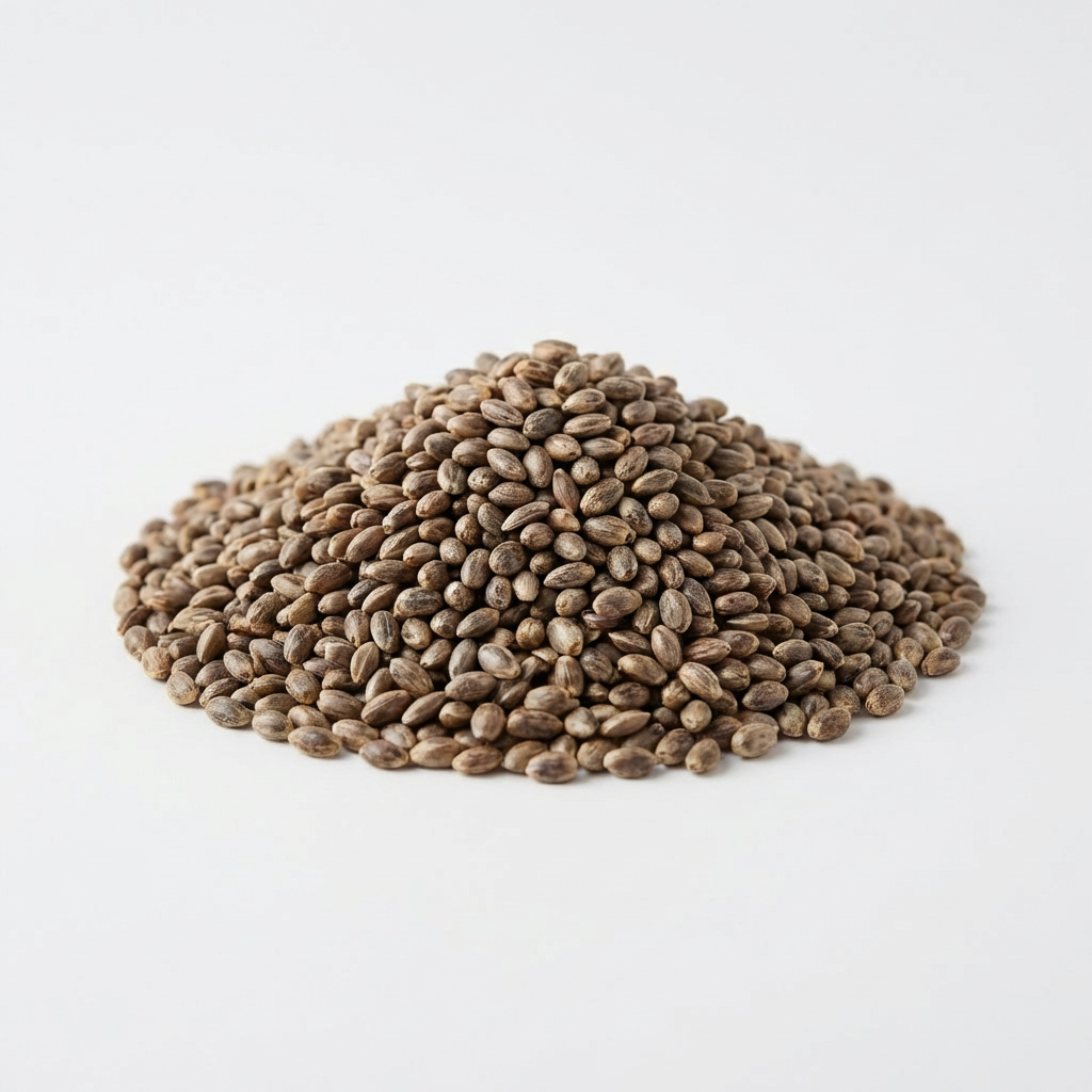 Cardo Mariano — Origen: China