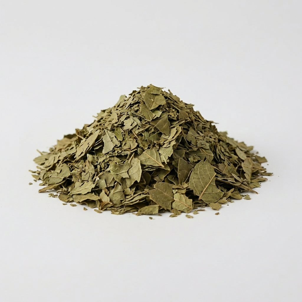 Boldo Chileno — Origen: Brasil — Hierbas y Tés